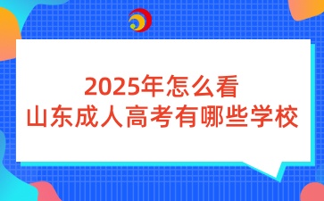 2025年怎么看山東成人高考有哪些學?？蓤? width=