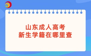 山東成人高考新生學籍在哪里查